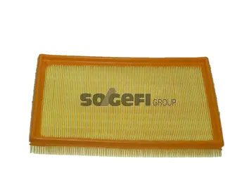 Air Filter (CA9767)