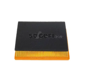 Air Filter (CA9428)