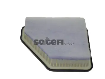 Air Filter (CA10596)