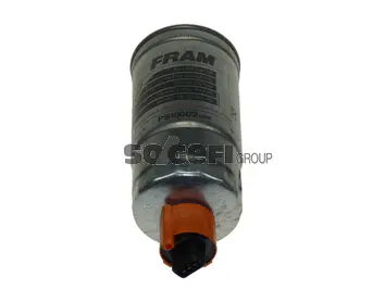 Fuel Filter (PS10002EWS)