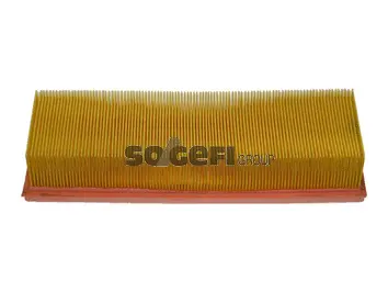 Air Filter (CA5554)