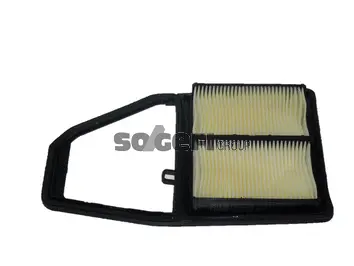 Air Filter (CA9339)