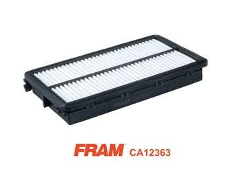 Air Filter (CA12363)