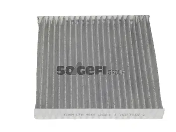Filter, cabin air (CFA9665)