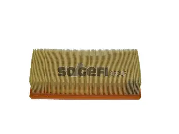 Air Filter (CA10599)