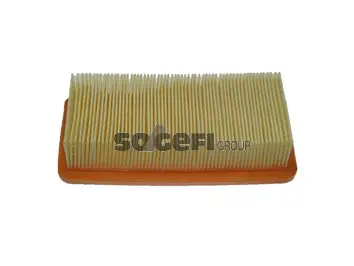Air Filter (CA10088)