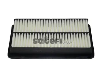 Air Filter (CA11074)