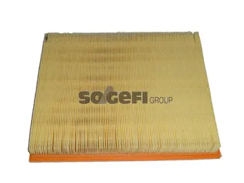 Air Filter (CA8821)