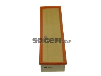Air Filter (PA4248)