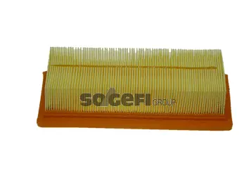 Air Filter (CA5518)
