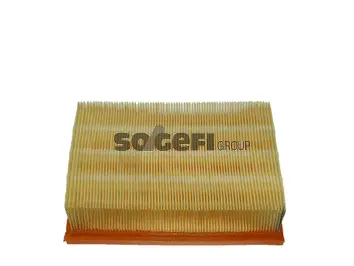 Air Filter (CA5854)