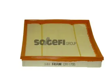 Air Filter (CA11795)