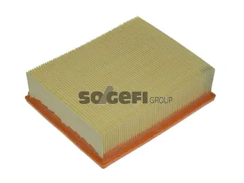 Air Filter (CA8675)
