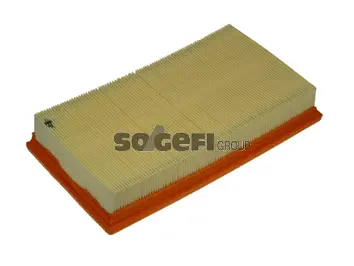 Air Filter (CA5929)