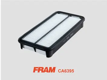 Air Filter (CA6395)