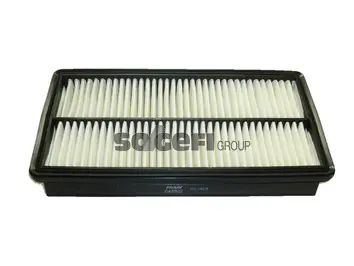 Air Filter (CA8922)