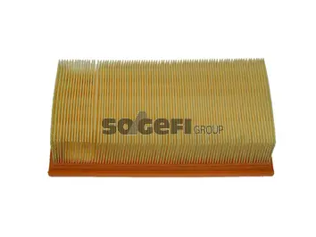 Air Filter (CA5860)