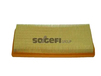 Air Filter (CA9329)
