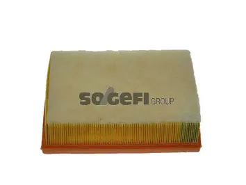Air Filter (CA10023)