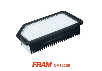 Air Filter (CA12029)