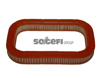 Air Filter (CA6305)