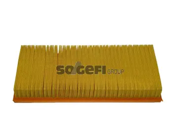 Air Filter (CA4580)