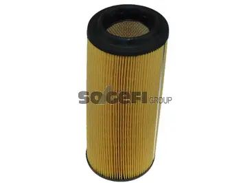 Air Filter (CA8900)