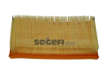 Air Filter (CA4263)