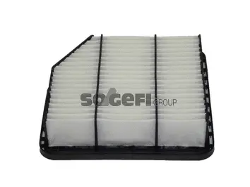 Air Filter (CA10347)