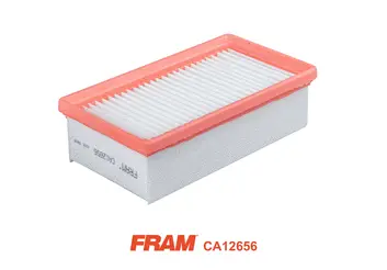 Air Filter (CA12656)
