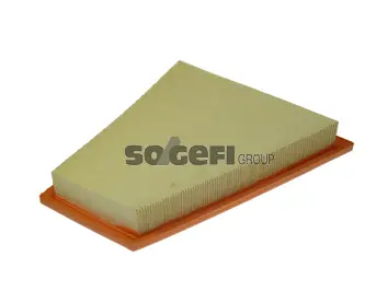 Air Filter (CA10994)