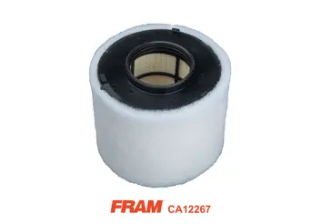 Air Filter (CA12267)