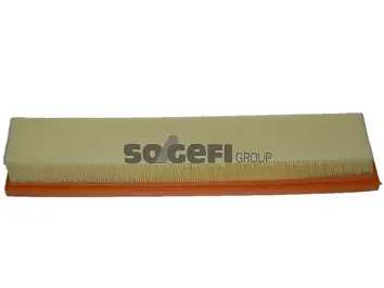 Air Filter (CA10306)