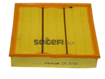 Air Filter (CA8194)