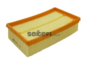 Air Filter (CA10077)