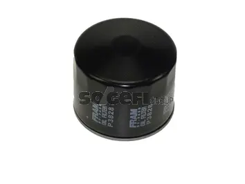 Oil Filter (P3828)