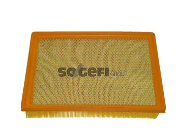 Air Filter (CA9647)