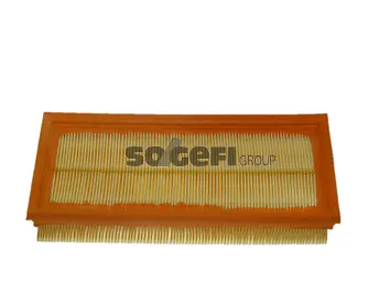 Air Filter (CA9101)