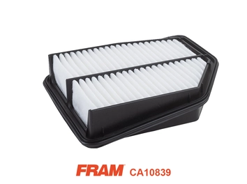 Air Filter (CA10839)