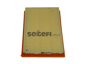 Air Filter (CA4309)