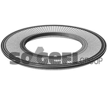 Air Filter (CA2719)