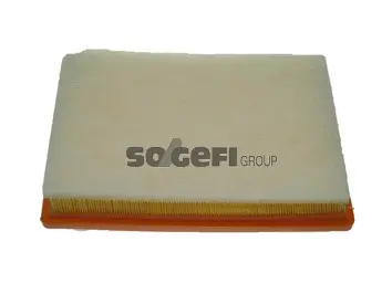 Air Filter (CA10294)