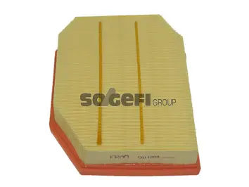 Air Filter (CA11209)