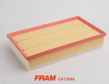 Air Filter (CA12548)