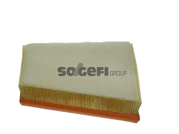 Air Filter (CA10651)