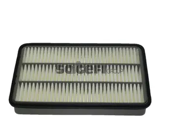 Air Filter (CA9079)