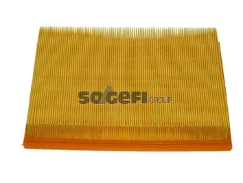 Air Filter (CA4568)