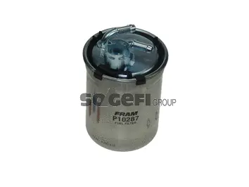 Fuel Filter (P10287)