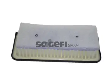 Air Filter (CA10296)