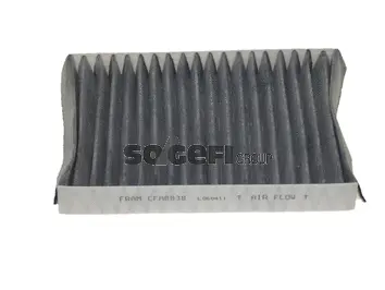 Filter, cabin air (CFA8838)